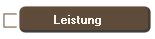 Leistung